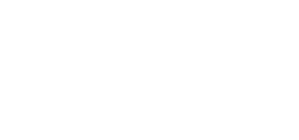 The Big Blow Out Logo